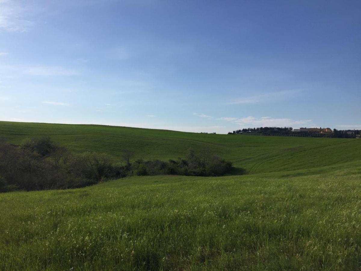 Agriturismo San Leone Вольтерра Экстерьер фото